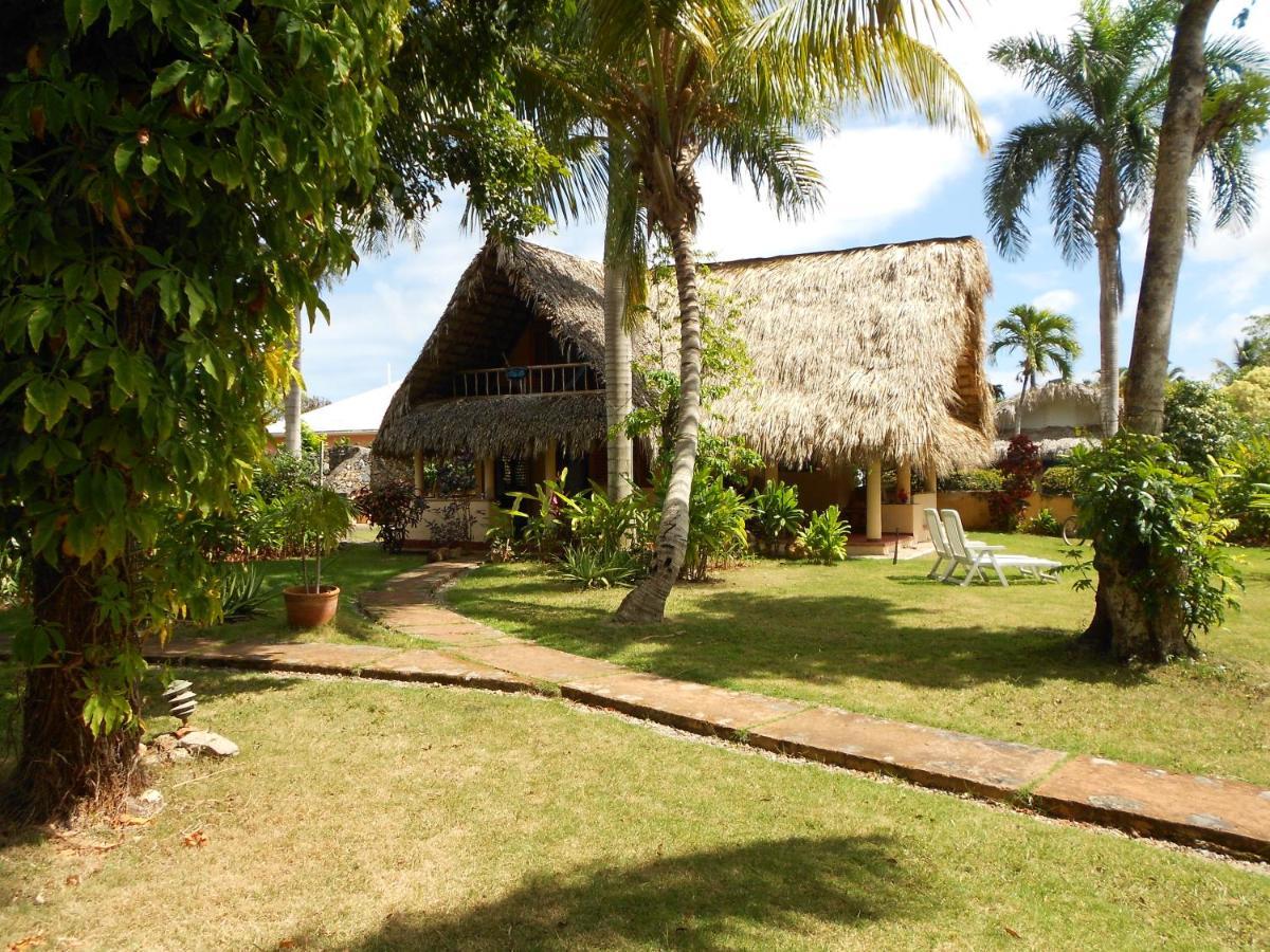 Palm-Covered House In The Tropical -Casa Oli Las Galeras Eksteriør billede