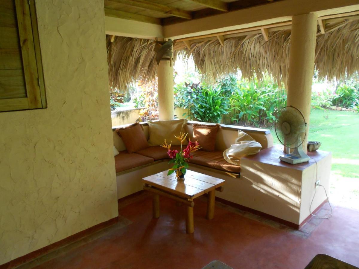 Palm-Covered House In The Tropical -Casa Oli Las Galeras Eksteriør billede
