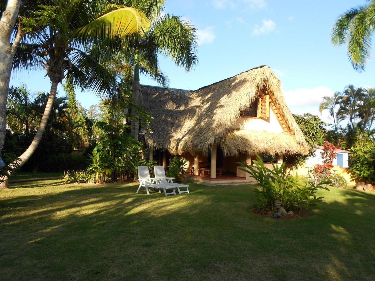 Palm-Covered House In The Tropical -Casa Oli Las Galeras Eksteriør billede