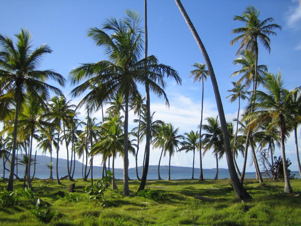 Palm-Covered House In The Tropical -Casa Oli Las Galeras Eksteriør billede