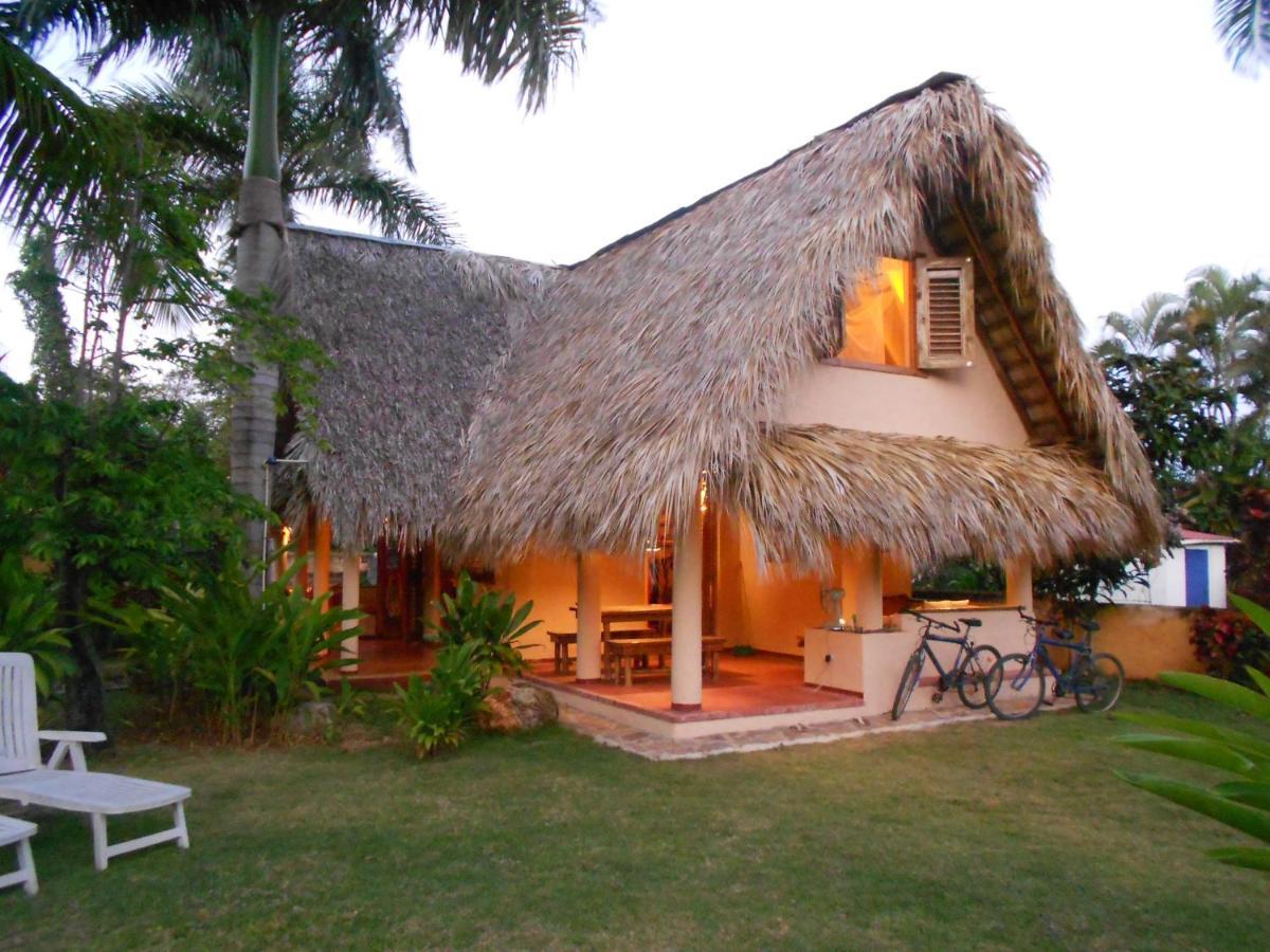 Palm-Covered House In The Tropical -Casa Oli Las Galeras Eksteriør billede